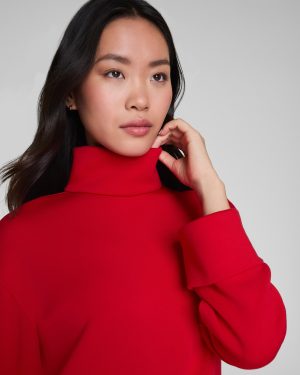 Turtleneck Dress
