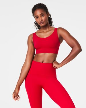 High Impact Sports Bra