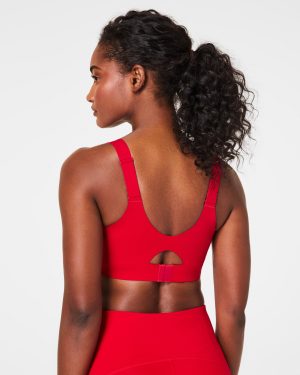 High Impact Sports Bra